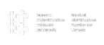 MINC Logo